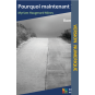 Pourquoi maintenant ?