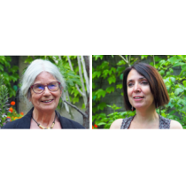 Et si l'ombre de Zweig...